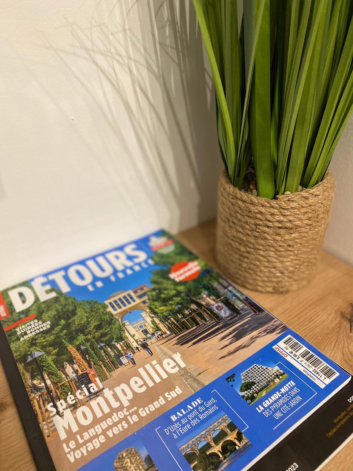 Rives Du Lez - Prestige Apartman Montpellier Kültér fotó